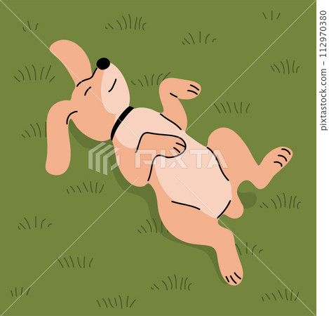 Domestic dog lying on the grass 112970380