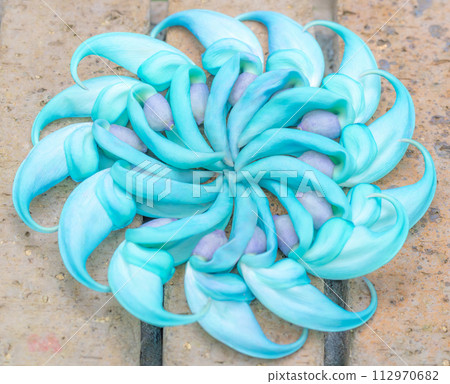 Decoration of jade vine "Jade Kuzu" 112970682