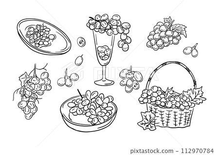Collection of sketchy contour drawings of grapes. Vector black outline doodles of branches of berries on white background. Ideal for coloring pages, tattoo, pattern 112970784