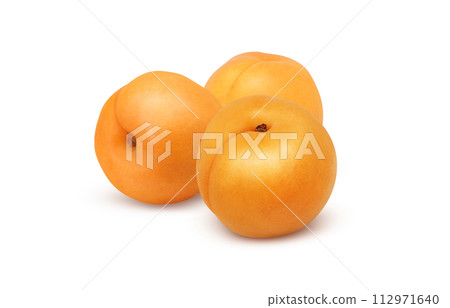 apricot illustration real 112971640