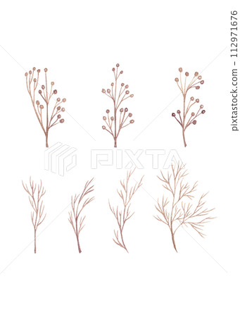 A set of twigs without leaves. Watercolor illustrations of brown tones A set of twigs without leaves. Watercolor illustrations of brown tones 112971676