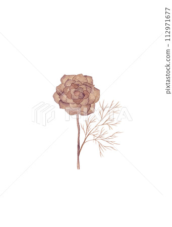 A fantasy flower with a bud of many petals and cobwebby leaves. Floral watercolor illustration in brown tones A fantasy flower with a bud of many petals and cobwebby leaves. Floral watercolor illustration in brown tones 112971677