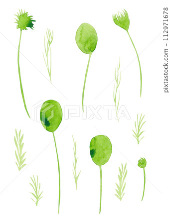 Twigs and flowers in light green watercolor. Flower clip-art Twigs and flowers in light green watercolor. Flower clip-art 112971678