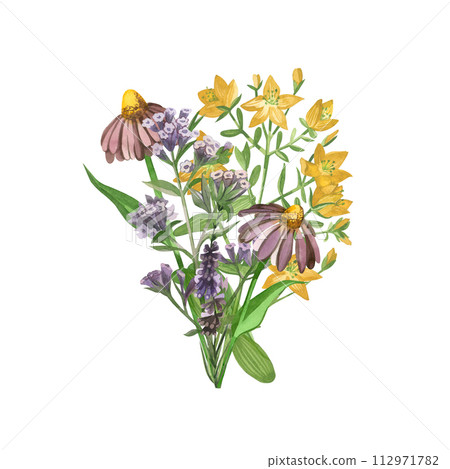 A bouquet of meadow herbs painted in watercolor. Echinacea, heather, lungwort, hypericaceae, hand drawn in watercolor. Suitable for printing on fabric and paper, for textile design, scrapbooking. A bouquet of meadow herbs painted in watercolor. Echinacea, heather, lungwort, hypericaceae, hand drawn in watercolor. Suitable for printing on fabric and paper, for textile design, scrapbooking. 112971782