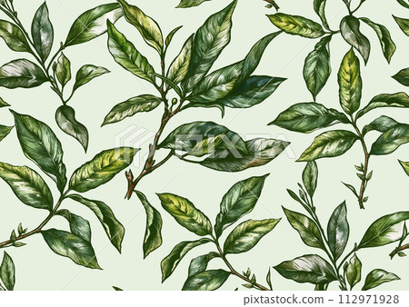 Branch with leaves of green tea. Branch with leaves of green tea. 112971928