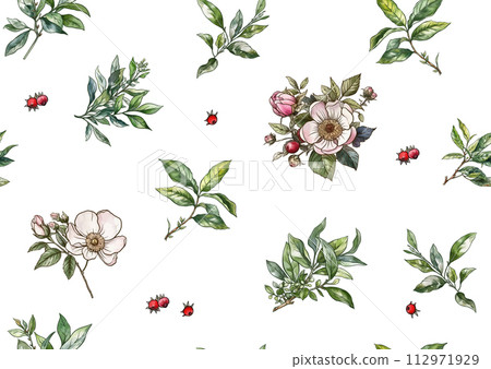 Green tea branch with leaves and wild rose flowers and berries. Green tea branch with leaves and wild rose flowers and berries. 112971929