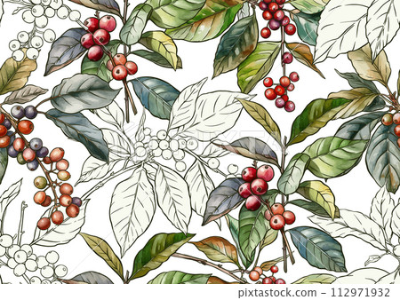 Coffee tree. Branch with leaves and berries.  112971932