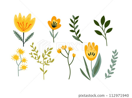 Set of hand drawn yellow flowers, leaves and branches. Vector illustration Set of hand drawn yellow flowers, leaves and branches. Vector illustration 112971940