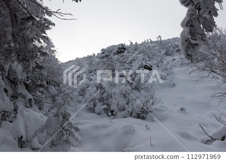 Snowy scenery on the Shibunoyu route (Kuroyuri Hutte) on Mt. Higashitengu in midwinter in Chino City, Nagano Prefecture 112971969