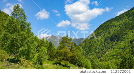 Rocky path in the mountains covered with forest 112972001