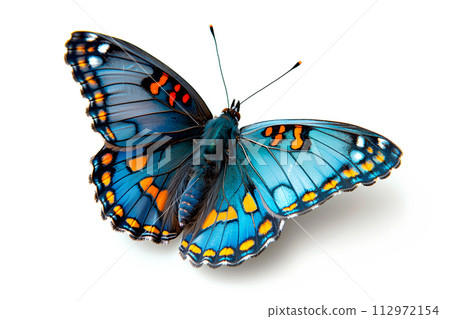 Beautiful Red spotted purple butterfly isolated on a white background with clipping path 112972154