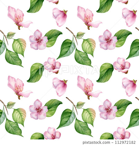 Pink flowers of apricot tree and leaves seamless pattern watercolor isolated on white. Blossom fruit tree branch hand drawn. Design element for packaging, backdrop, wallpaper, textile 112972182