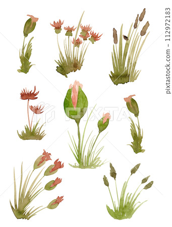 Wildflowers and plants in watercolor. Flower clip-art 112972183