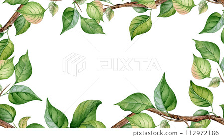 Watercolor frame with tree branch and gentle leaves isolated on white. Floral banner with fruit tree branch hand drawn. Element for wedding invitation, card, packaging, label product Watercolor frame with tree branch and gentle leaves isolated on white. Floral banner with fruit tree branch hand drawn. Element for wedding invitation, card, packaging, label product 112972186