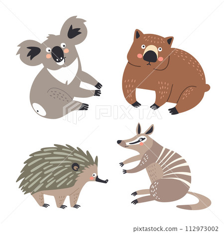 Set of vector illustrations of Australian animals in flat style: echidna, wombat, koala and anteater 112973002