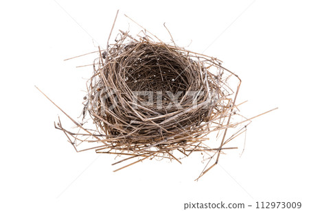 bird nest isolated 112973009