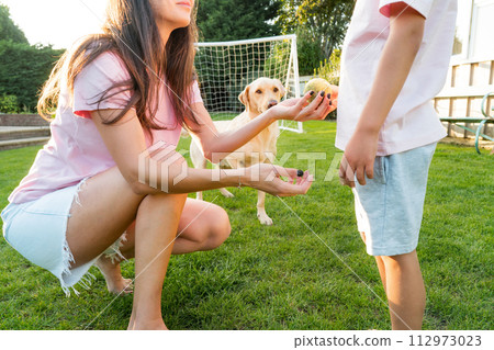 Cheerful mother and son playing with dog, throwing a ball and have fun together. Happy family playing with tennis ball with pet. Fun Games in Backyard Lawn on Sunny Summer Day. Active childhood 112973023