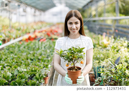 Woman holds a pot of flowers in her hands, growing plants for sale, plant as a gift, flowers in a greenhouse, potted plant. 112973431