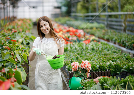 A young woman transplants plants and takes care of flowerpots in a greenhouse. The concept of growing plants. Home gardening, love of plants and care. Small business. A young woman transplants plants and takes care of flowerpots in a greenhouse. The concept of growing plants. Home gardening, love of plants and care. Small business. 112973505