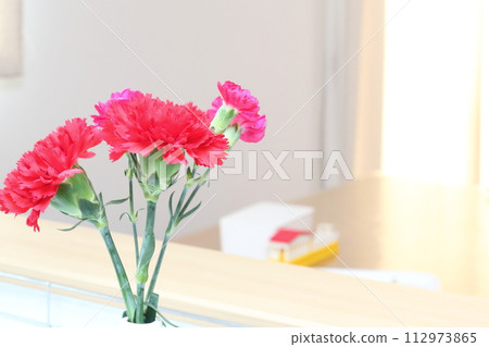 red carnations in the living room red carnations in the living room 112973865