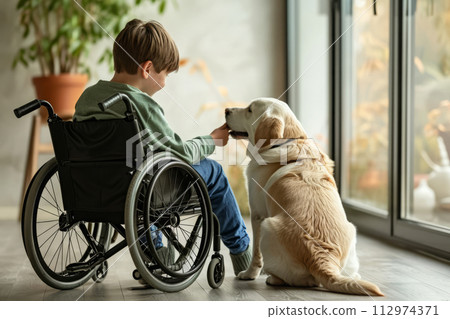 Disabled teenage boy in wheelchair with dog at home 112974371
