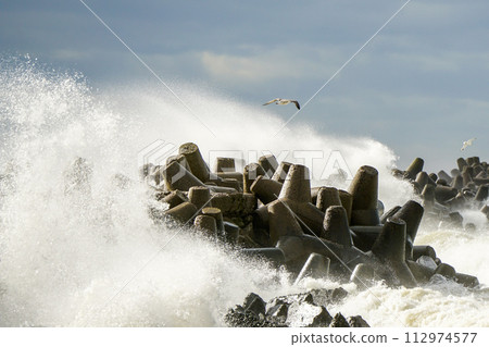 Big wave breaking on breakwater, stormy sea, crashing waves, wave splashing, hurricane season Big wave breaking on breakwater, stormy sea, crashing waves, wave splashing, hurricane season 112974577