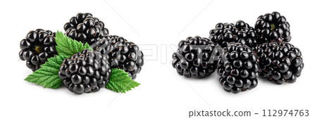 blackberry with leaf isolated on a white background closeup blackberry with leaf isolated on a white background closeup 112974763