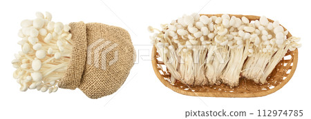 Enoki mushroom, Golden needle mushroom in bag and basket isolated in white background . Top view. Flat lay Enoki mushroom, Golden needle mushroom in bag and basket isolated in white background . Top view. Flat lay 112974785