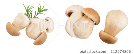 Fresh porcini cep mushroom isolated on white background. Top view. Flat lay Fresh porcini cep mushroom isolated on white background. Top view. Flat lay 112974806