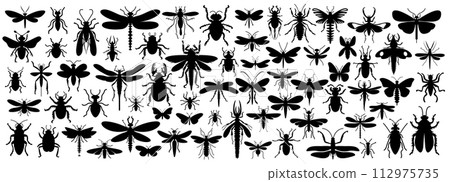 insects, bugs, vector 112975735