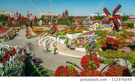 Dubai miracle garden timelapse with over 45 million flowers in a sunny day, United Arab Emirates Dubai miracle garden timelapse with over 45 million flowers in a sunny day, United Arab Emirates 112976849