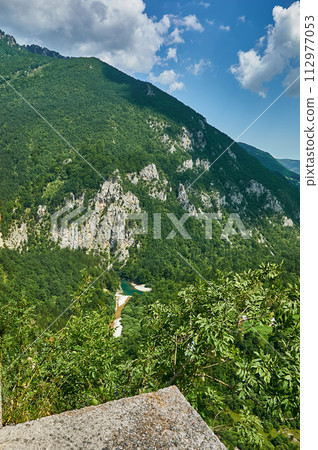 Montenegro. Valley of Tara river. Montenegro. Valley of Tara river. 112977053
