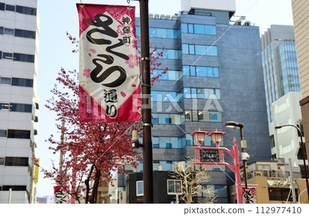 Jimbocho Sakura Street Nobori 112977410