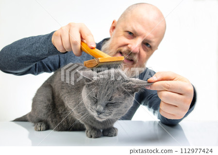 Bearded man combs the fur of a gray cat with a brush on a white background. Pet care 112977424