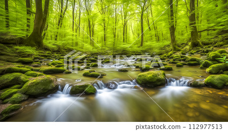 美麗的綠色山谷 112977513