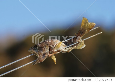 鹽烤山目魚 鹽烤山目魚 112977623