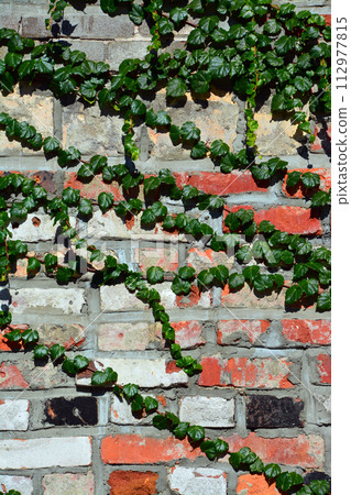 函館、西鳩羽、金森紅磚倉庫地區的歷史氛圍 函館、西鳩羽、金森紅磚倉庫地區的歷史氛圍 112977815