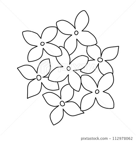 Lilac or hydrangea flowers top view, doodle style flat vector outline for coloring book Lilac or hydrangea flowers top view, doodle style flat vector outline for coloring book 112978062