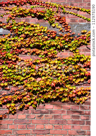 The historical atmosphere of Hakodate/Nishihatoba and Kanamori Red Brick Warehouse area The historical atmosphere of Hakodate/Nishihatoba and Kanamori Red Brick Warehouse area 112978190