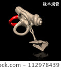 人體後半規管 112978439