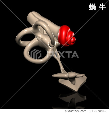 human cochlea human cochlea 112978462