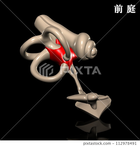 vestibule of human body 112978491