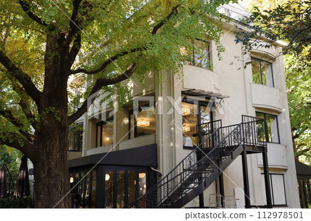 Mansion 112978501