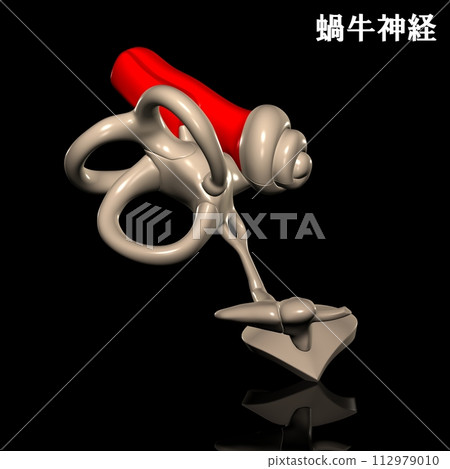 cochlear nerve in human body 112979010