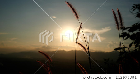 Grass field sunset Beautiful landscape with grasses meadow on sunlight. Countryside heaven amazing field scene grass meadow on sunbeam nature dawn. Sunset dawn landscape vibrant scenery horizontal 112979391