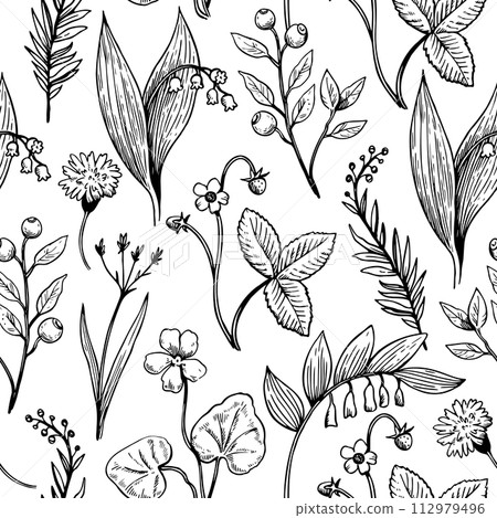 Seamless pattern whit line botanical elements. Outline vector contour illustration of wild forest plants, flowers and berries. 112979496
