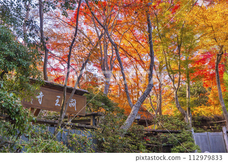 Kyoto in autumn, the approach to Gioji Temple and autumn leaves Kyoto in autumn, the approach to Gioji Temple and autumn leaves 112979833