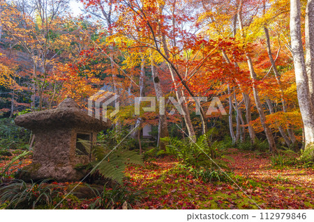 京都只王寺秋葉 112979846