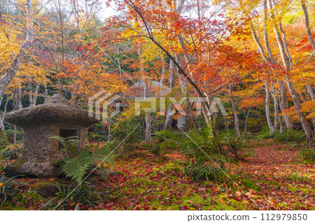 京都只王寺秋葉 112979850
