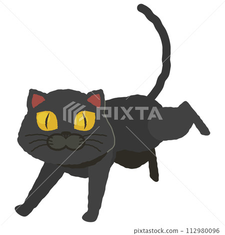 奔跑的黑貓 112980096
